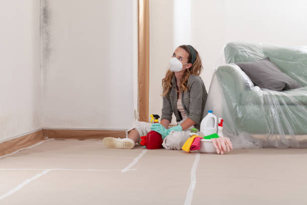 Reliable Mold Removal contractor in Waynesboro, VA by WQB Mold Removal